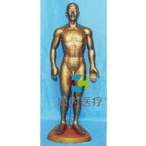 康為醫療68全皮膚銅色人體針灸模型
