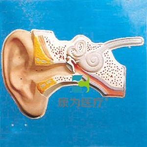 “康為醫療”耳聽覺調節模型（聲控）