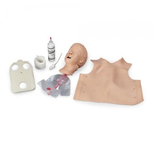 德国3B Scientific?儿童气道管理训练装置头部模型，带肺部和胃部