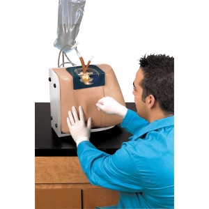 “康為醫療”腰椎穿刺模型LF01036U Spinal Injection Simulator