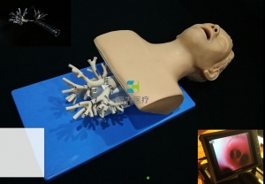 呼吸介入-纖支鏡介入模擬器，高仿真模擬支氣管鏡模型