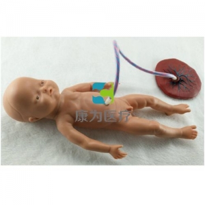 “康為醫療”高級出生嬰兒臍帶護理模型(女嬰)臍帶護理標準化模擬病人(女嬰)臍帶護理模擬人