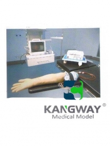 “康為醫療”高級電動脈搏式手臂動脈及靜脈穿刺練習模型（技術參數）