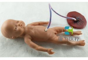 “康为医疗”高级新生儿脐带护理模型,脐带护理模拟人