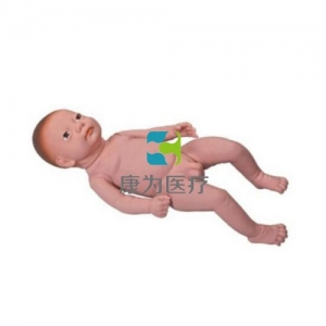 “康为医疗”高级满月婴儿模型(男婴、女婴任选)