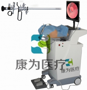 HYST SURGERY高端宫腔镜手术模拟训练系统